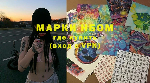 шишки Горняк