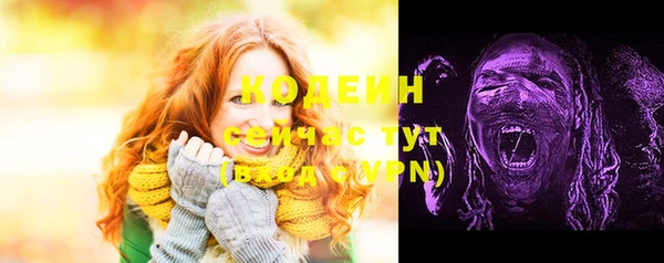 соль ск Верхний Тагил