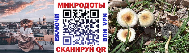 ОМГ ОМГ сайт  Егорьевск  Галлюциногенные грибы ЛСД 